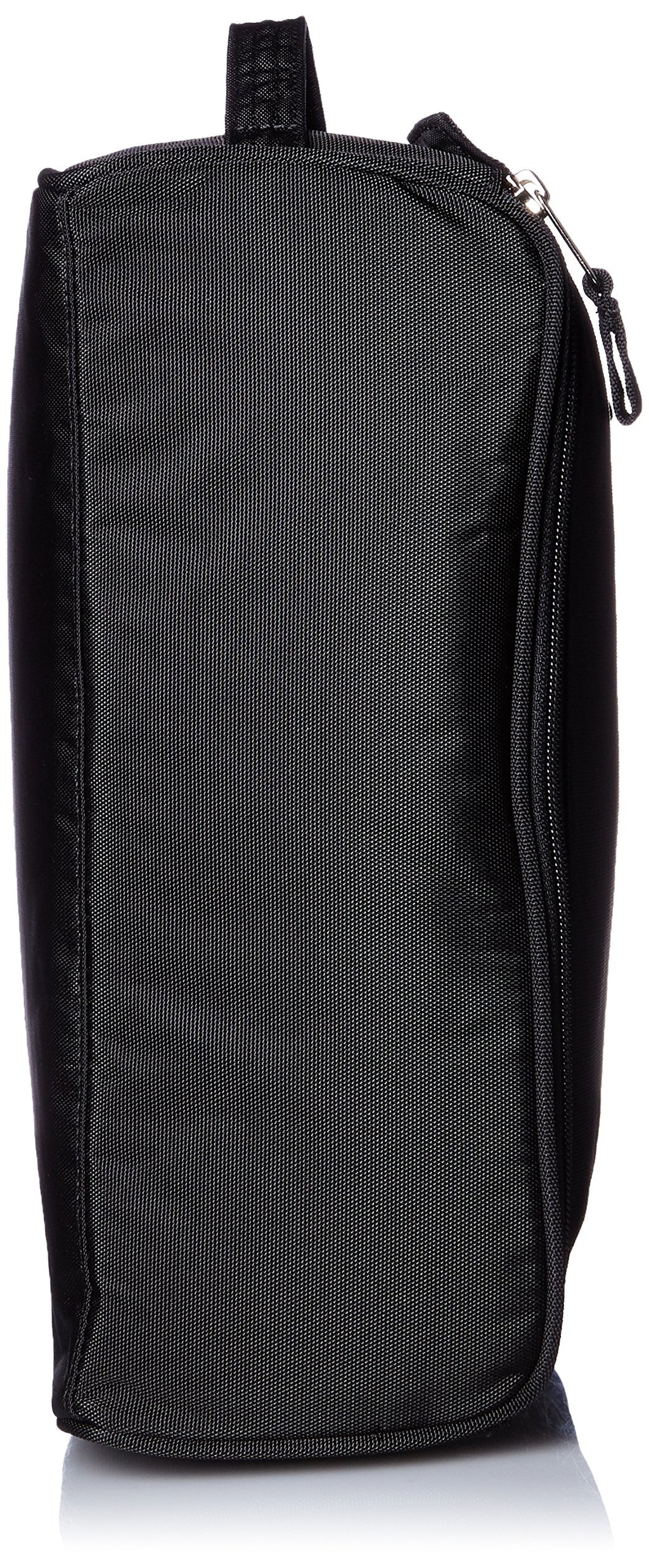 Compact Travel Shoe Case