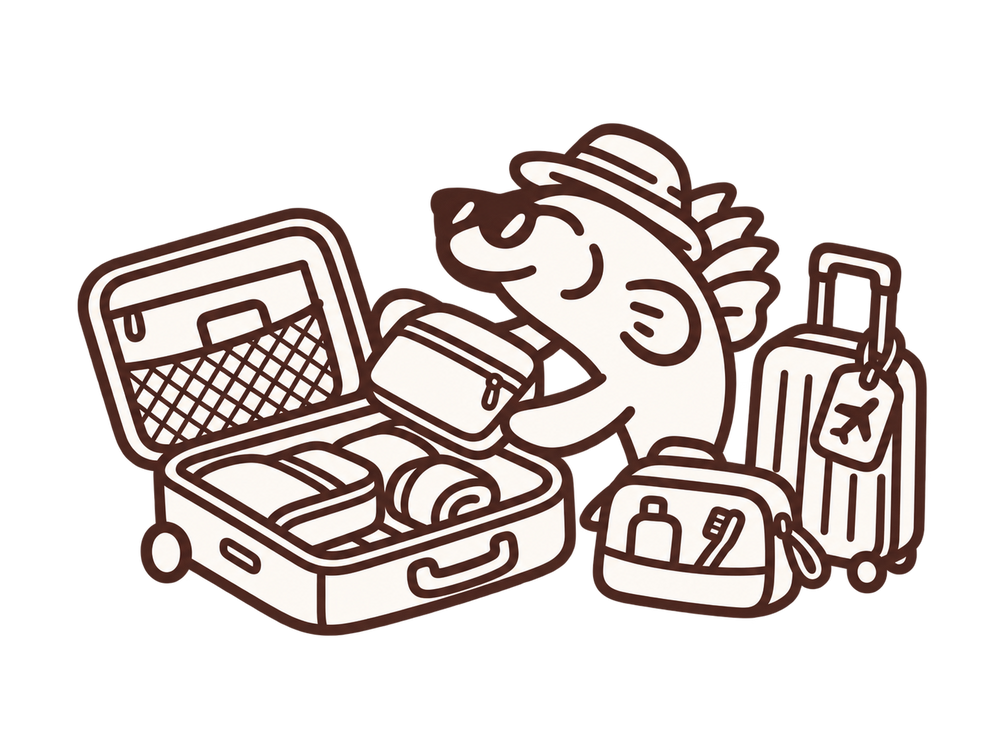 Carryvia travel illustration